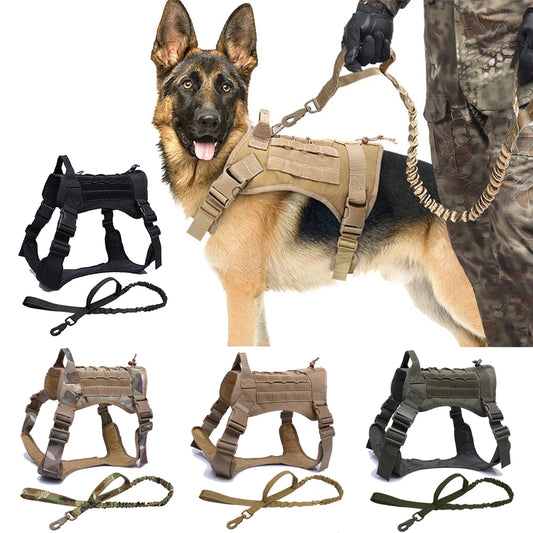 Durable Nylon Dog Harness – Padded, Quick-Release for All Seasons