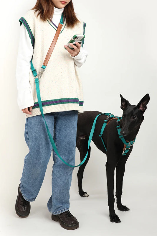 Dog Harness & Leash Set – Adjustable, Explosion-Proof