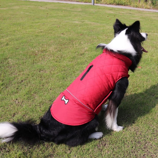 Fashion Autumn And Winter Outdoor Dog Clothes